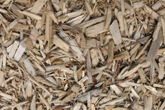 biomass boilers Craghead